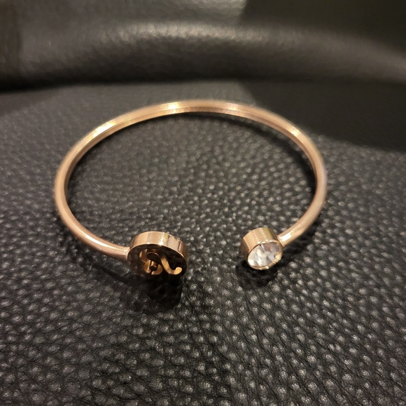 Stainless Steel Leo Bangle with Clear Crystal - Picture 6 of 7